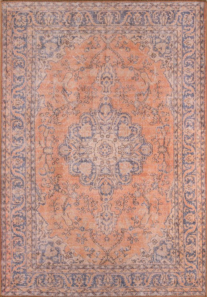 Traditional AFSHAAFS11 Area Rug - Afshar Collection 