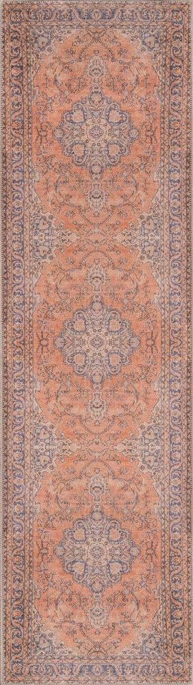 Traditional AFSHAAFS11 Area Rug - Afshar Collection 