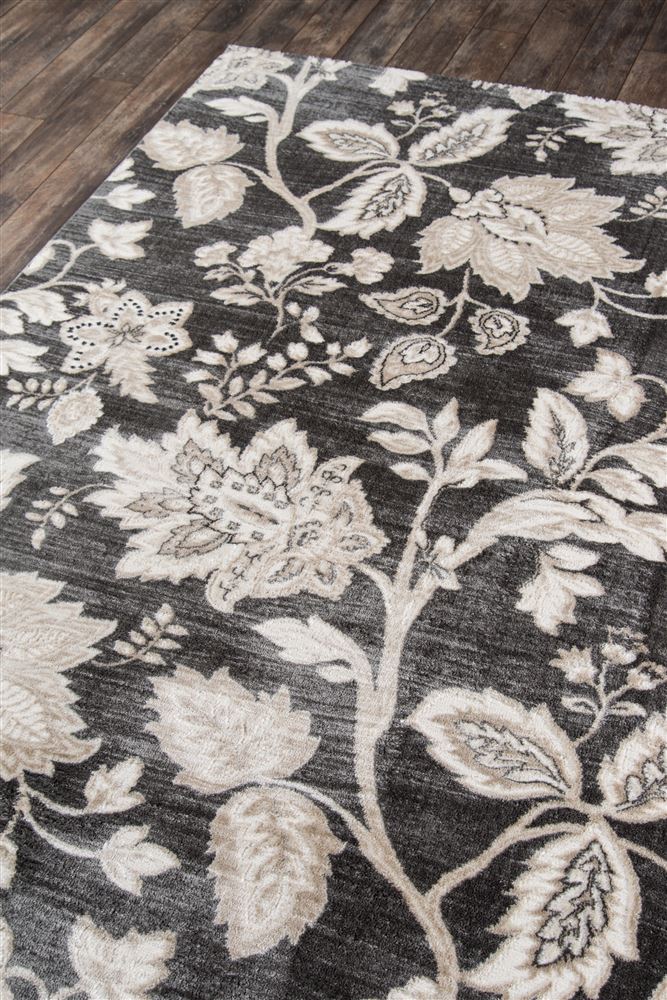 Transitional CAROLCG-01 Area Rug - Carroll Gardens Collection 