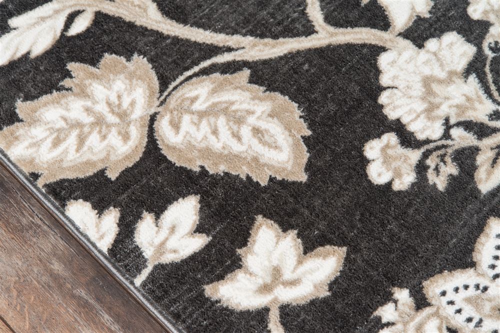 Transitional CAROLCG-01 Area Rug - Carroll Gardens Collection 