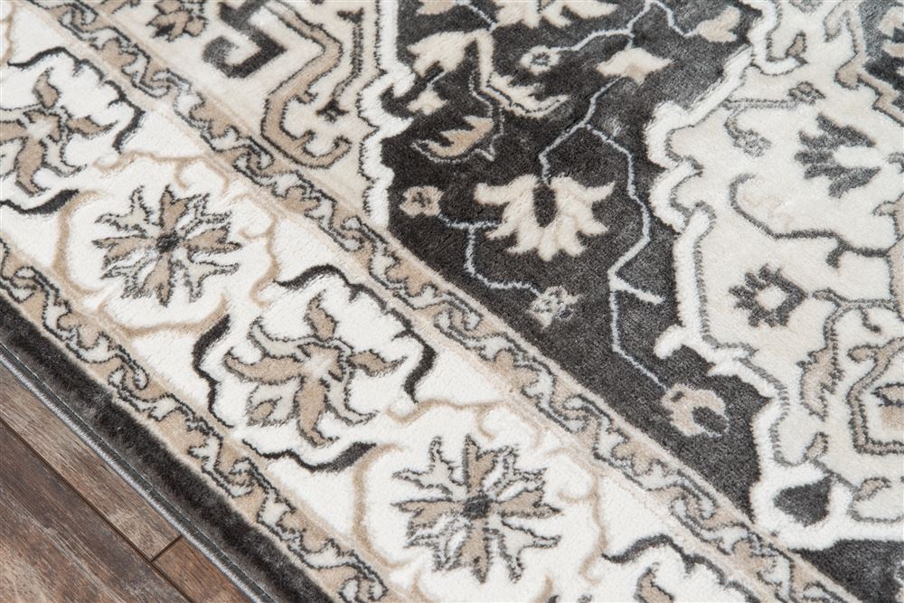 Transitional CAROLCG-03 Area Rug - Carroll Gardens Collection 