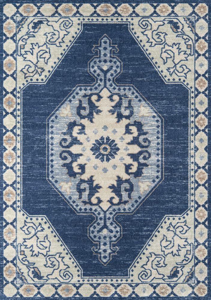 Traditional Anatoana-3 Area Rug - Anatolia Collection 