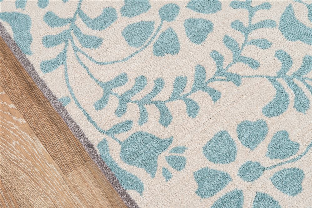 Transitional HAVANHV-10 Area Rug - Havana Collection 