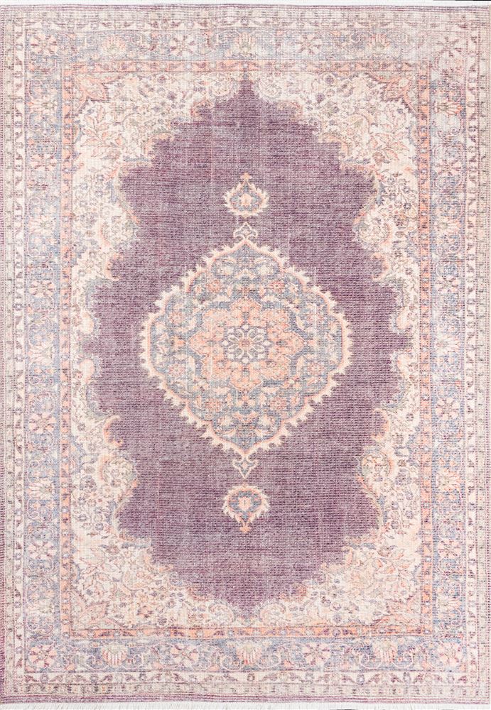 Traditional HELENHEL-5 Area Rug - Helena Collection 