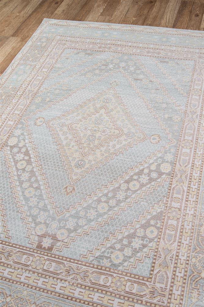 Traditional ISABEISA-7 Area Rug - Isabella Collection 